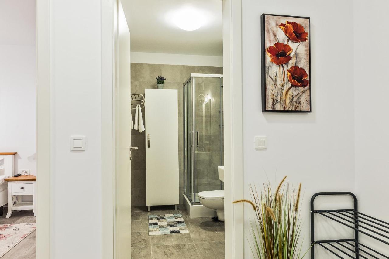 Elegant Sophia'S Apartment 브라쇼브 외부 사진